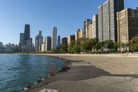 Chicago Cityscape: Downtown with a Clear Sky