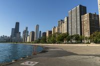 Chicago Cityscape: Downtown with a Clear Sky