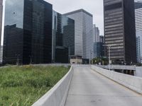 Chicago Cityscape: Skyline of the Metropolitan Area