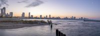 a sandy beach with trees, a small pier and a city on the horizon of water