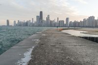 Chicago, Illinois Cityscape: Daytime Skyline From Above