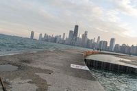 Chicago, Illinois Cityscape: Daytime Skyline From Above