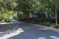people walking down the sidewalk on a sunny day in an empty street of buildings, in an area with trees, bushes and a fence