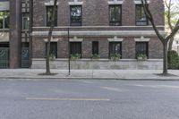 Classic Residential Area in Chicago, Illinois (001)