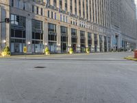 street lamps are at the edge of an empty road in front of large buildings with tall windows