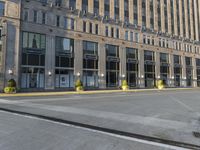 street lamps are at the edge of an empty road in front of large buildings with tall windows