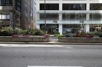 an empty street with plants and flowers in flower pots near a tall building on the corner