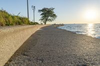 a concrete path leading over water near trees and grass near the ocean, with sun setting behind them