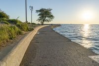 a concrete path leading over water near trees and grass near the ocean, with sun setting behind them