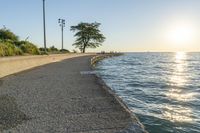 a concrete path leading over water near trees and grass near the ocean, with sun setting behind them