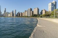 Chicago, Illinois: A Road Towards the Skyline