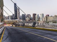 Chicago Illinois Skyline Cityscape 003