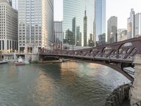 Chicago, Illinois: Skyscrapers Cityscape