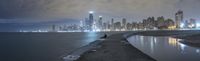 a person is walking along the shore of a lake at night with a city view