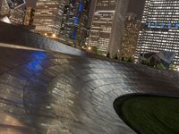 Chicago Metropolis: Night Sky in Illinois