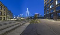 Chicago Night: City Lights in Downtown