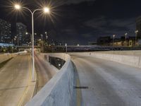 this is a shot of a person on a skateboard on a bridge at night