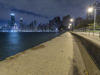 Chicago Night Skyline with Lens Flare