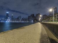 Chicago Night Skyline with Lens Flare