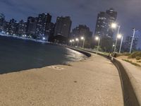 Chicago Night Skyline with Lens Flare