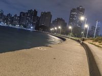 Chicago Night Skyline with Lens Flare