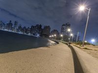 Chicago Night Skyline with Lens Flare