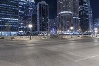 Chicago at Night: High-rise Cityscape