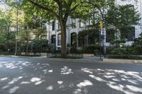 the sidewalk is lined with plants and trees and people walk down the street and some buildings