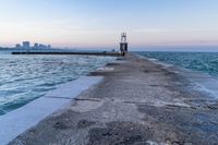 Chicago Skyline at Dawn over Lake Michigan 006