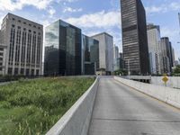 Chicago Skyline: Highrise Architecture of the Windy City