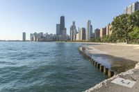 Chicago Skyline and River on a Sunny Day