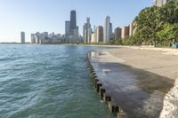 Chicago Skyline and River on a Sunny Day