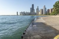 Chicago Skyline and River on a Sunny Day