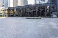 a small child is running in front of the glass buildings on the street as he rides a skateboard