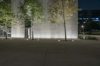 three trees are lit up on a sidewalk near the concrete wall of a building at night