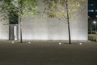 three trees are lit up on a sidewalk near the concrete wall of a building at night