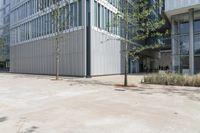 there is an empty walkway lined with trees next to tall buildings and glass windows on the walls