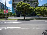 a picture of an empty street near a building with a sky background and trees in the street