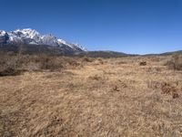 China Landscape: Mountain and Grass