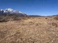 China Landscape: Mountain and Grass