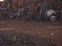 China Landscape: Stone Walls and Outcrops