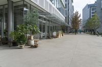 an open courtyard with benches, trees and potted plants, along the walkway from the building