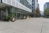 an open courtyard with benches, trees and potted plants, along the walkway from the building