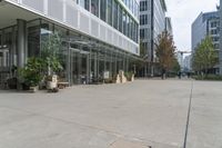 an open courtyard with benches, trees and potted plants, along the walkway from the building