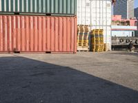 a cat sitting in a room next to some shipping containers and buildings on the street