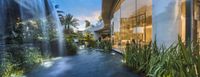 a pond with fountains and greenery in the middle of it near a building with many glass walls