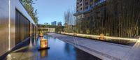 several different light fixtures are placed by the water in the courtyard area with a bamboo grove in the background