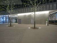 trees growing outside of the building on the sidewalk at night and light shining down the wall