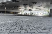 a street with parking spaces and white bricks in the floor near by a large building