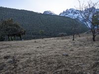 China's Yunnan: Lijiang - An Ancient Village